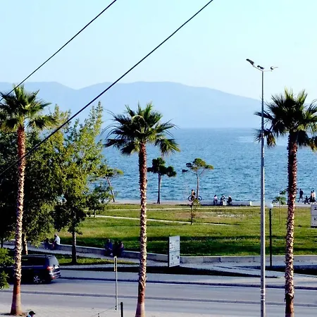 Palma